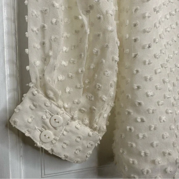 Beyond Vintage Swiss Dot V-Neck Long Sleeve Sheer Silk Top in White - Small - Picture 9 of 16